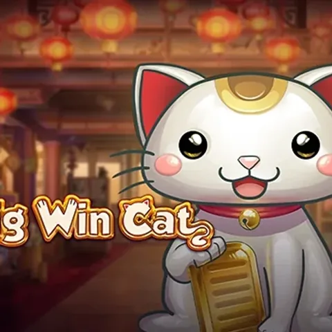 Big Win Cat oyununun kapak görseli