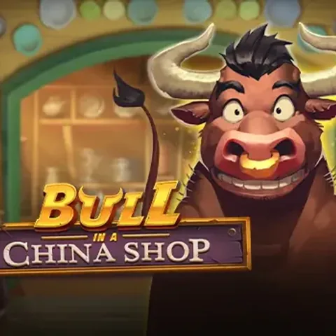Bull In A China Shop oyununun kapak görseli